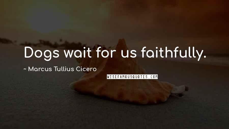 Marcus Tullius Cicero Quotes: Dogs wait for us faithfully.