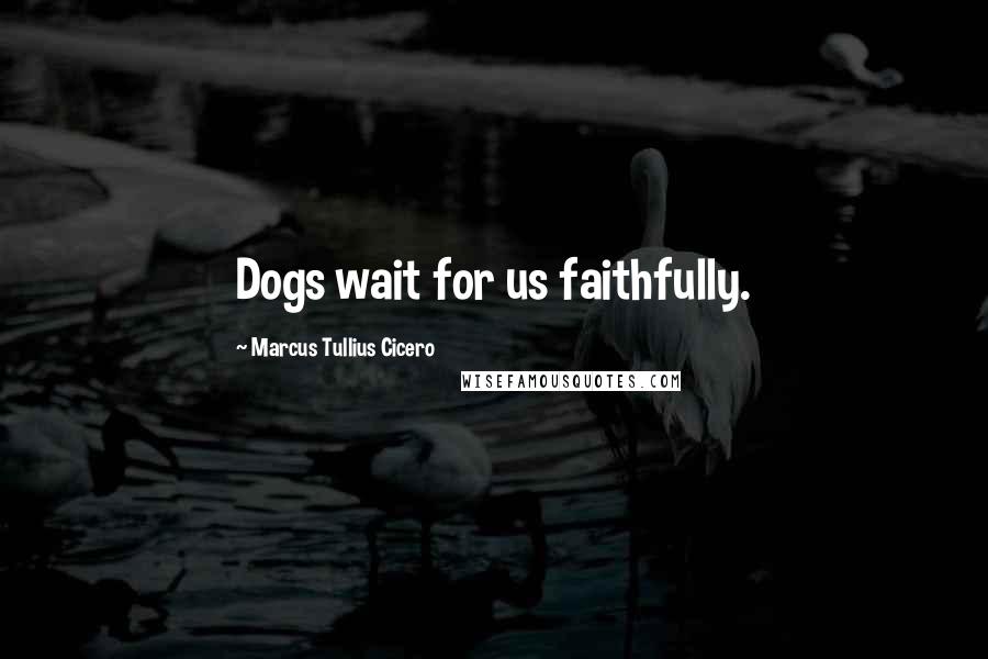 Marcus Tullius Cicero Quotes: Dogs wait for us faithfully.