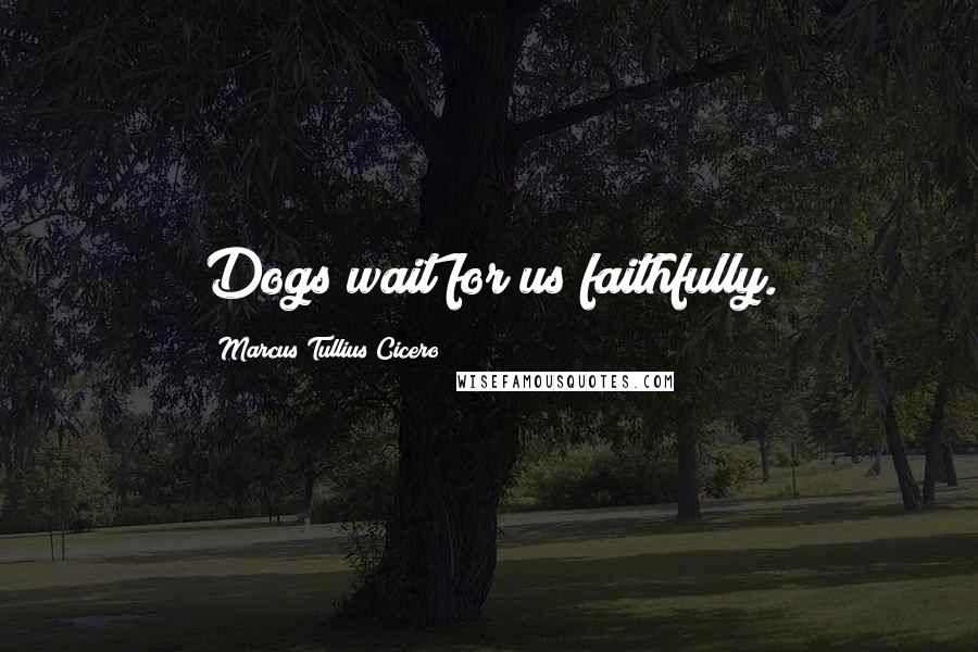 Marcus Tullius Cicero Quotes: Dogs wait for us faithfully.