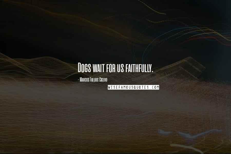 Marcus Tullius Cicero Quotes: Dogs wait for us faithfully.