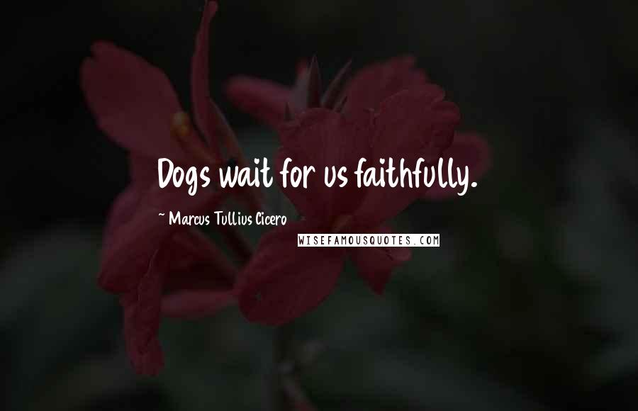 Marcus Tullius Cicero Quotes: Dogs wait for us faithfully.