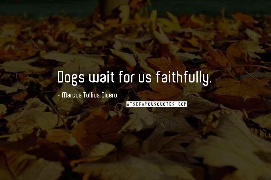 Marcus Tullius Cicero Quotes: Dogs wait for us faithfully.