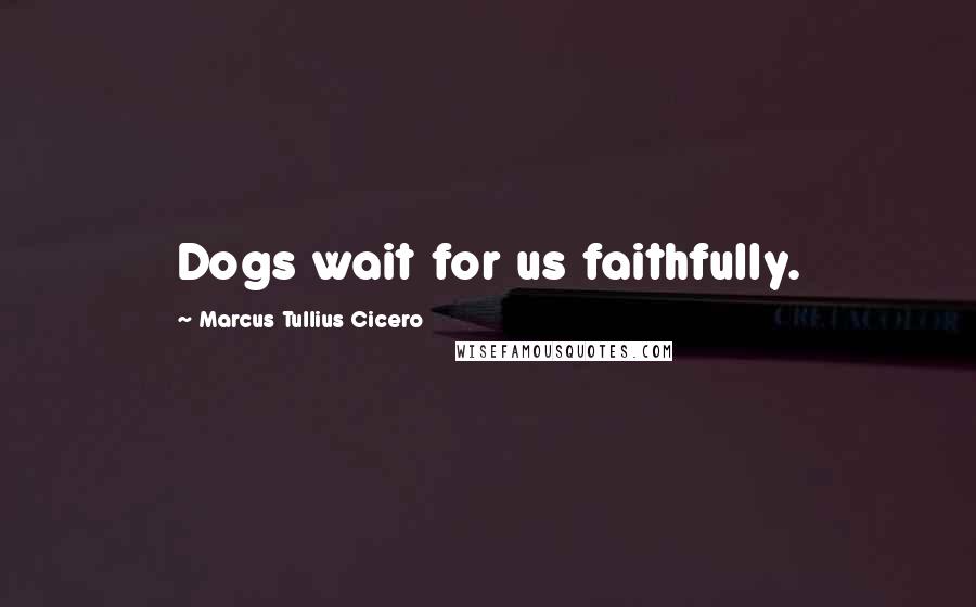 Marcus Tullius Cicero Quotes: Dogs wait for us faithfully.