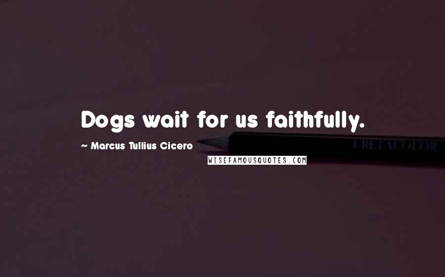 Marcus Tullius Cicero Quotes: Dogs wait for us faithfully.