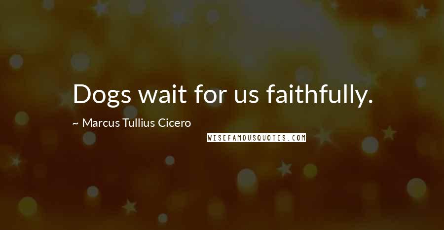 Marcus Tullius Cicero Quotes: Dogs wait for us faithfully.