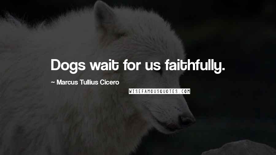 Marcus Tullius Cicero Quotes: Dogs wait for us faithfully.