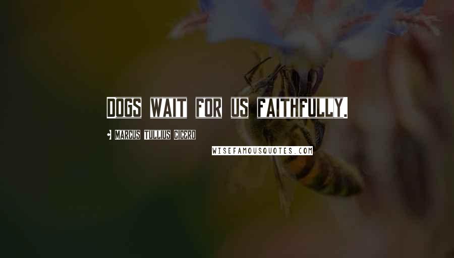 Marcus Tullius Cicero Quotes: Dogs wait for us faithfully.