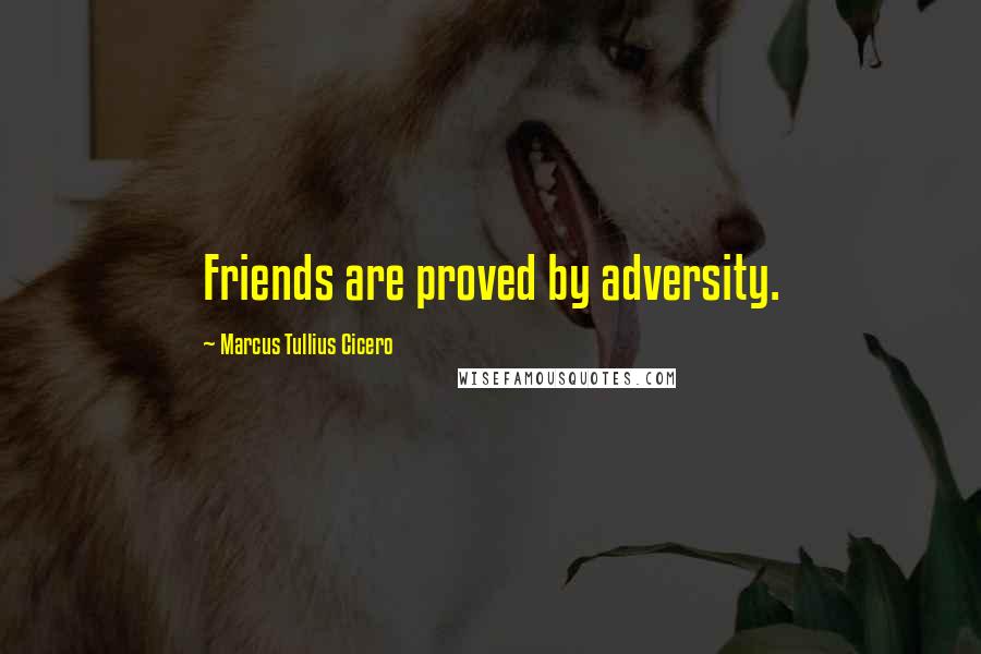 Marcus Tullius Cicero Quotes: Friends are proved by adversity.