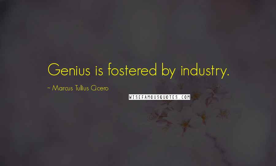 Marcus Tullius Cicero Quotes: Genius is fostered by industry.