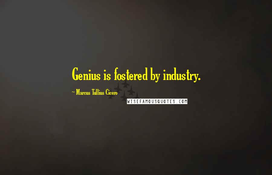 Marcus Tullius Cicero Quotes: Genius is fostered by industry.