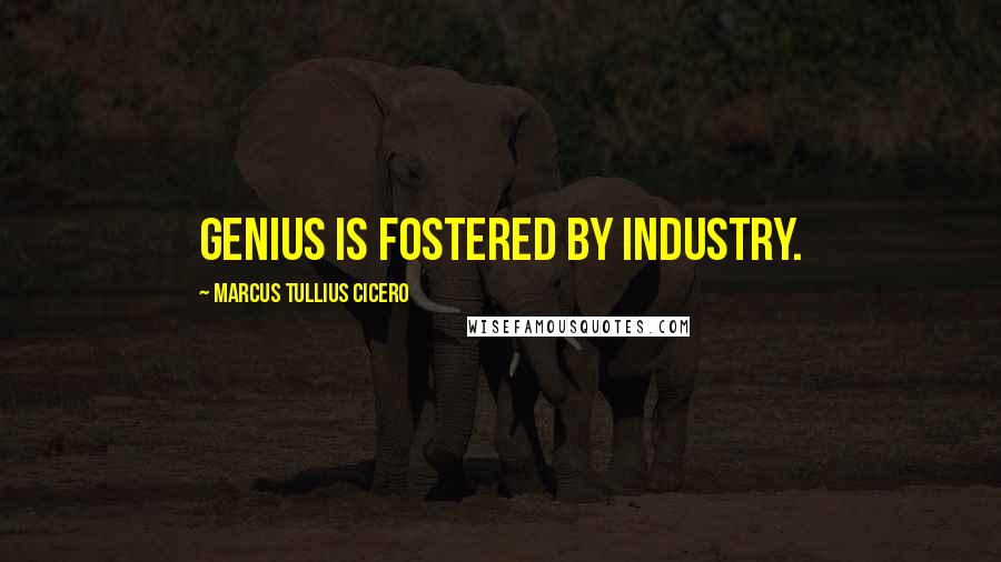 Marcus Tullius Cicero Quotes: Genius is fostered by industry.
