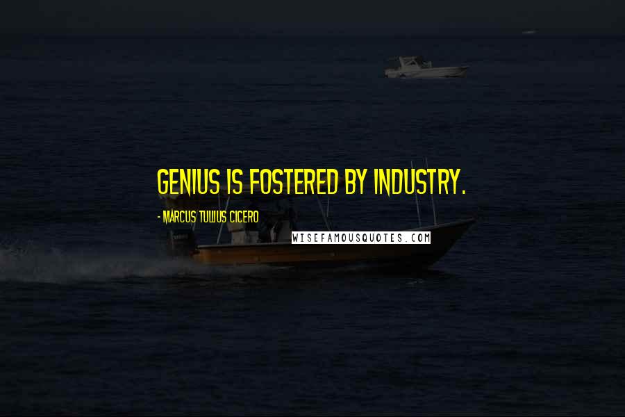 Marcus Tullius Cicero Quotes: Genius is fostered by industry.