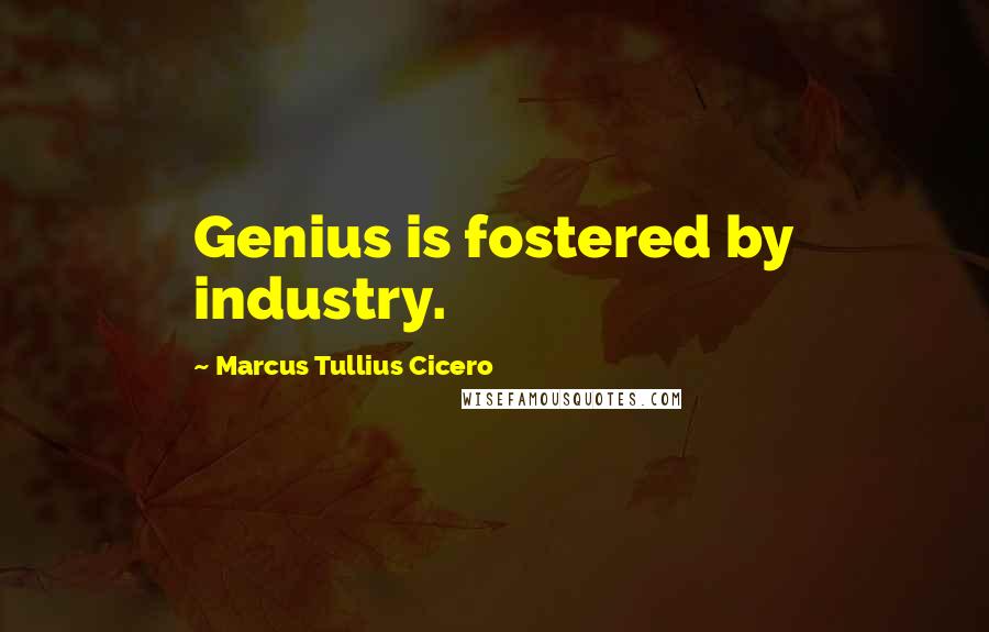 Marcus Tullius Cicero Quotes: Genius is fostered by industry.