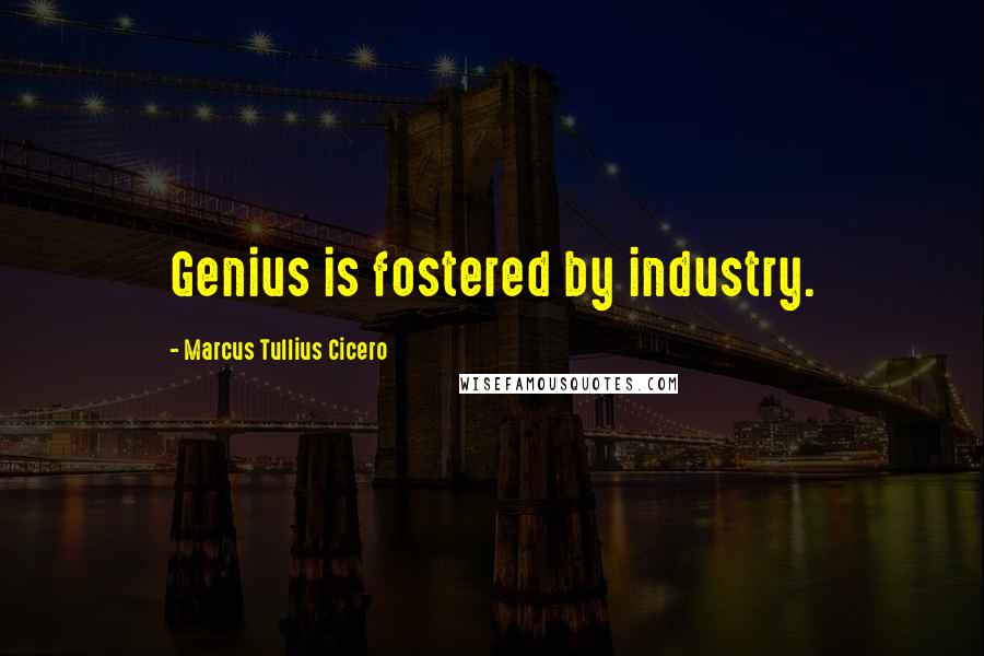 Marcus Tullius Cicero Quotes: Genius is fostered by industry.