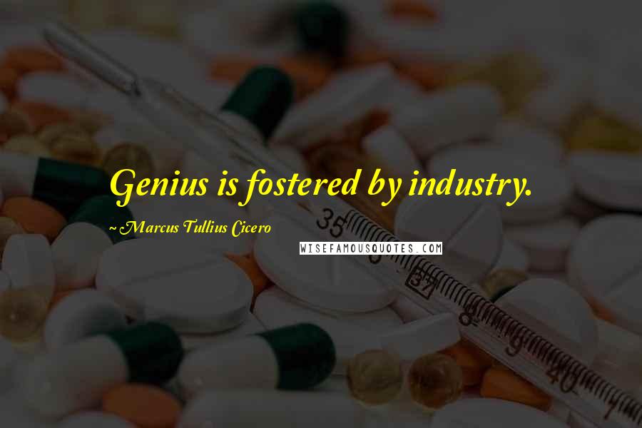 Marcus Tullius Cicero Quotes: Genius is fostered by industry.