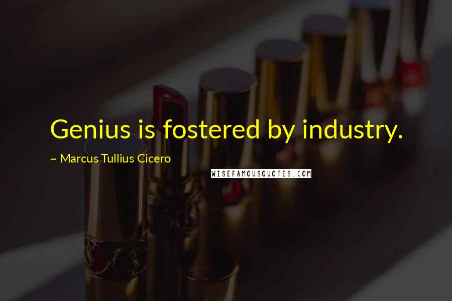 Marcus Tullius Cicero Quotes: Genius is fostered by industry.