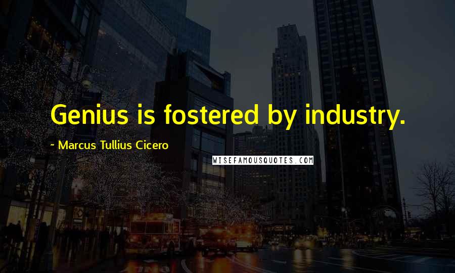 Marcus Tullius Cicero Quotes: Genius is fostered by industry.