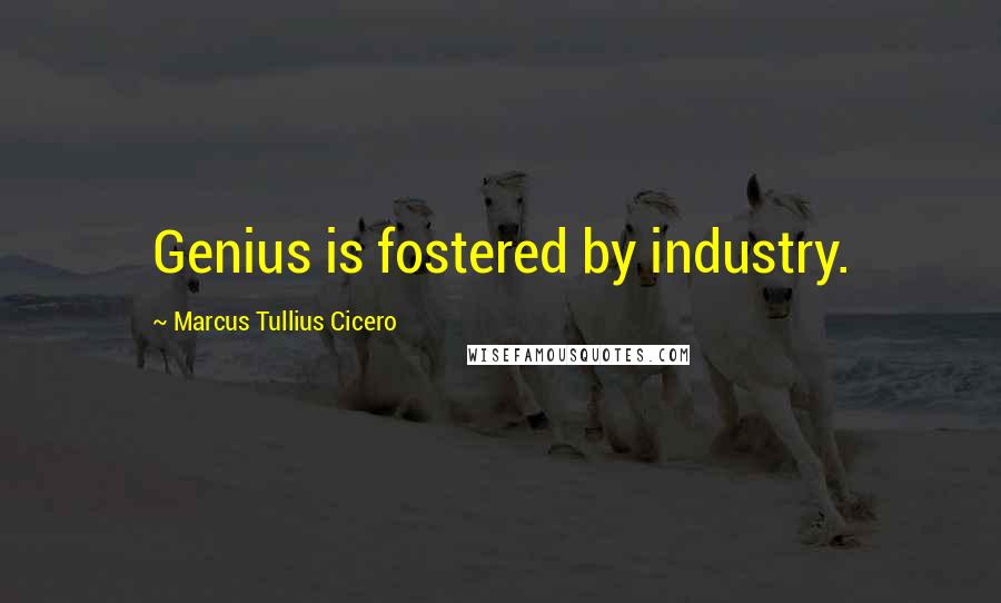 Marcus Tullius Cicero Quotes: Genius is fostered by industry.