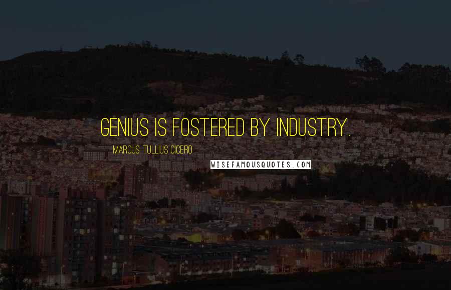 Marcus Tullius Cicero Quotes: Genius is fostered by industry.