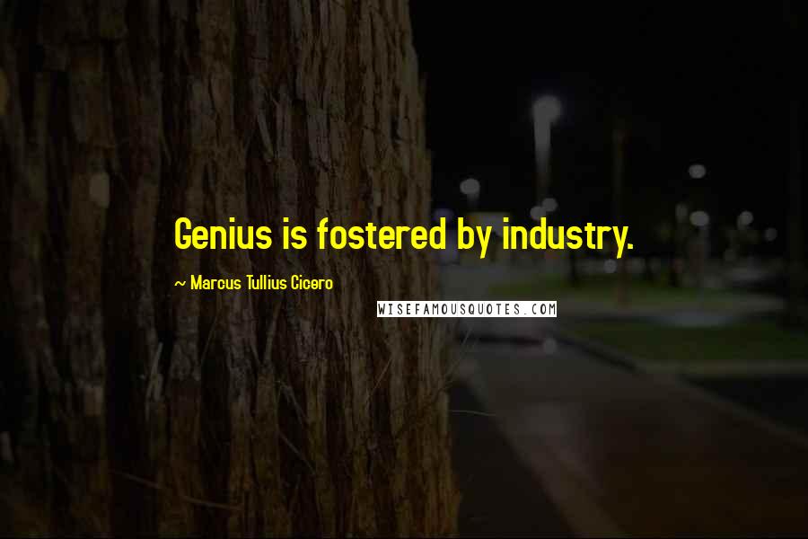 Marcus Tullius Cicero Quotes: Genius is fostered by industry.