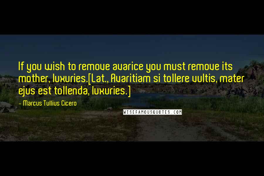 Marcus Tullius Cicero Quotes: If you wish to remove avarice you must remove its mother, luxuries.[Lat., Avaritiam si tollere vultis, mater ejus est tollenda, luxuries.]