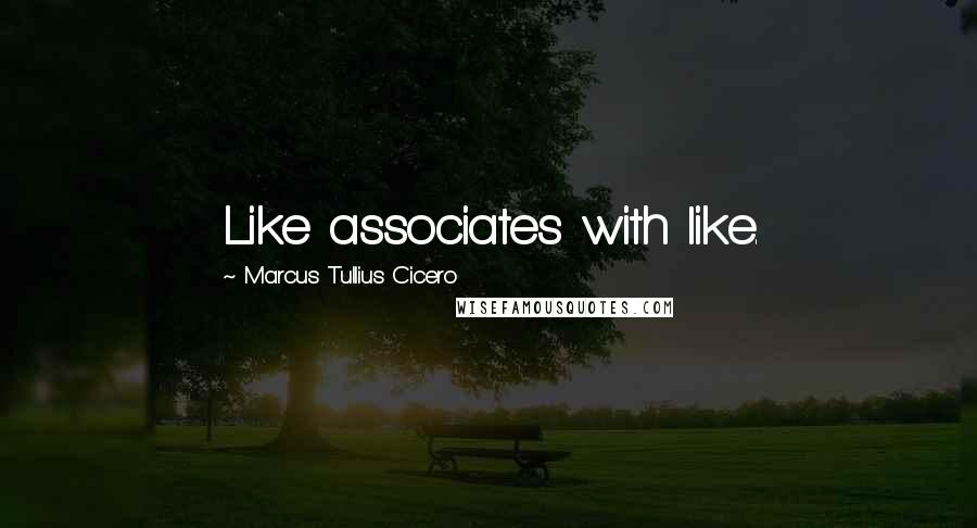 Marcus Tullius Cicero Quotes: Like associates with like.
