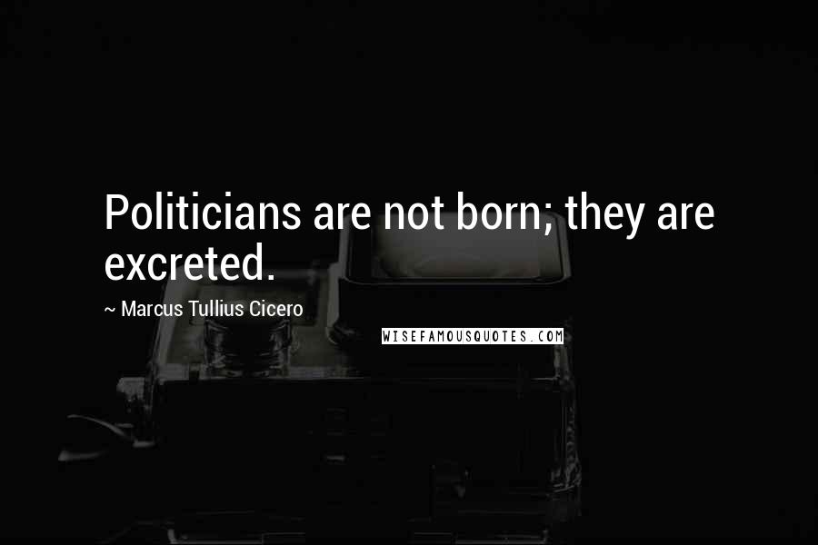 Marcus Tullius Cicero Quotes: Politicians are not born; they are excreted.