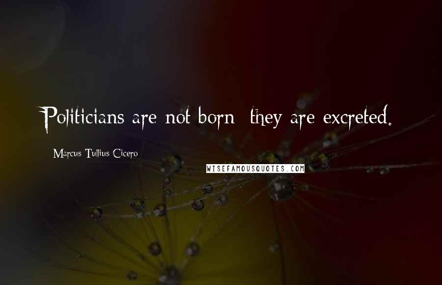 Marcus Tullius Cicero Quotes: Politicians are not born; they are excreted.