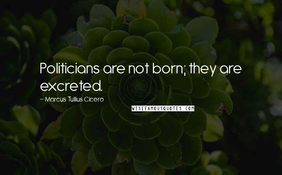 Marcus Tullius Cicero Quotes: Politicians are not born; they are excreted.