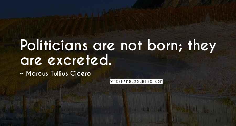 Marcus Tullius Cicero Quotes: Politicians are not born; they are excreted.