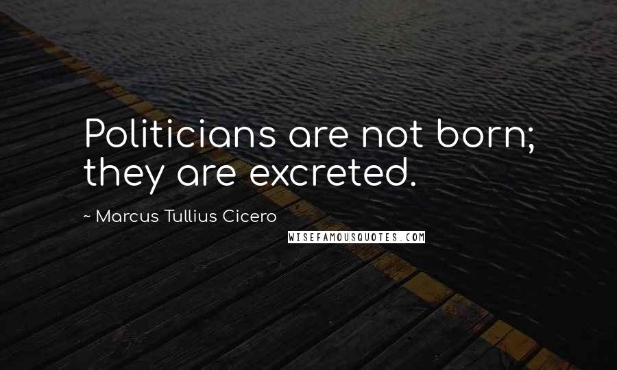 Marcus Tullius Cicero Quotes: Politicians are not born; they are excreted.