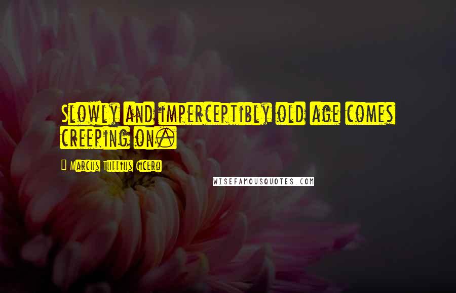 Marcus Tullius Cicero Quotes: Slowly and imperceptibly old age comes creeping on.