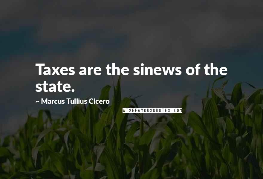 Marcus Tullius Cicero Quotes: Taxes are the sinews of the state.