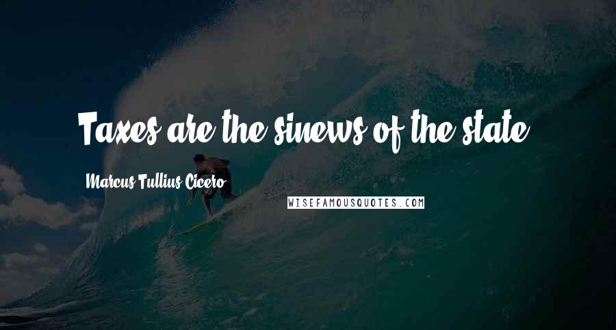 Marcus Tullius Cicero Quotes: Taxes are the sinews of the state.