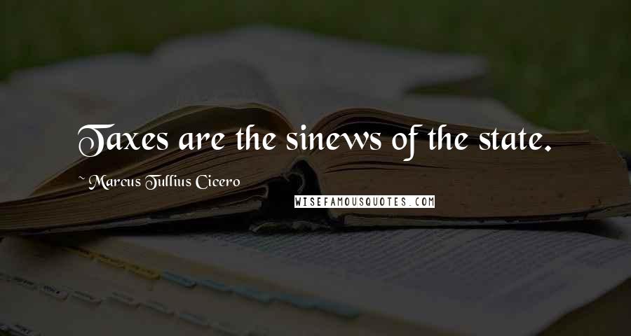 Marcus Tullius Cicero Quotes: Taxes are the sinews of the state.