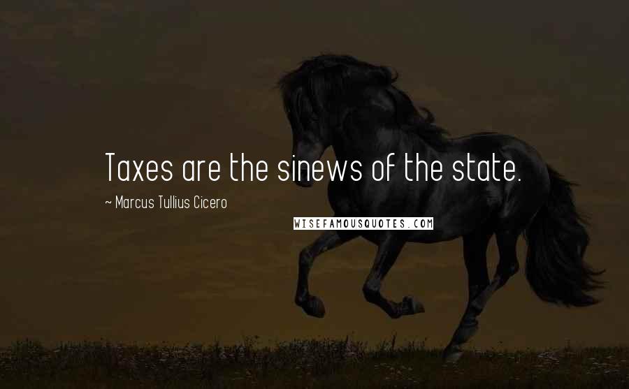 Marcus Tullius Cicero Quotes: Taxes are the sinews of the state.