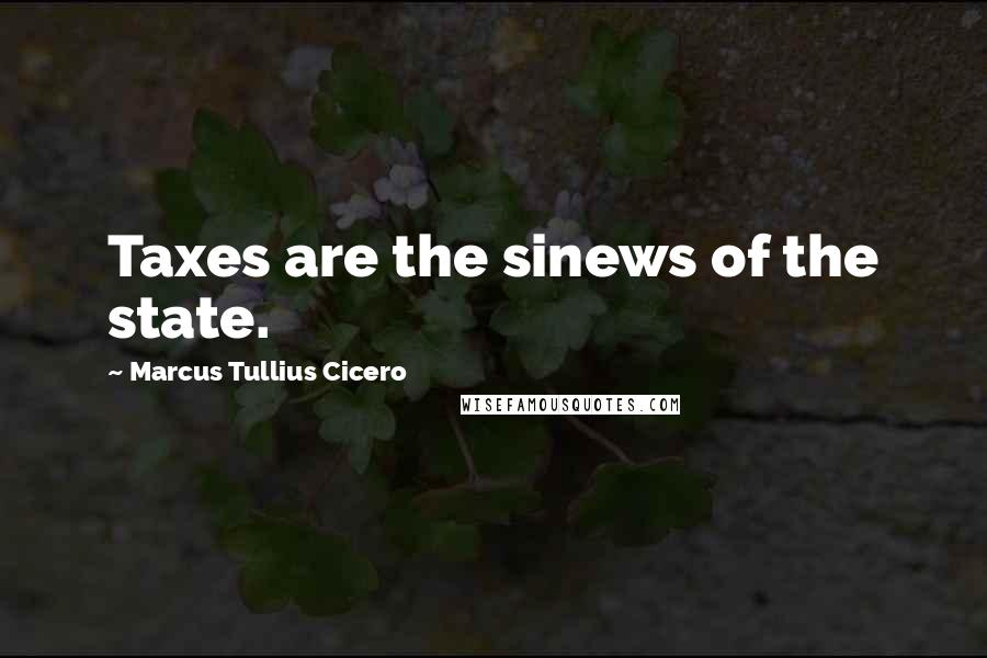 Marcus Tullius Cicero Quotes: Taxes are the sinews of the state.