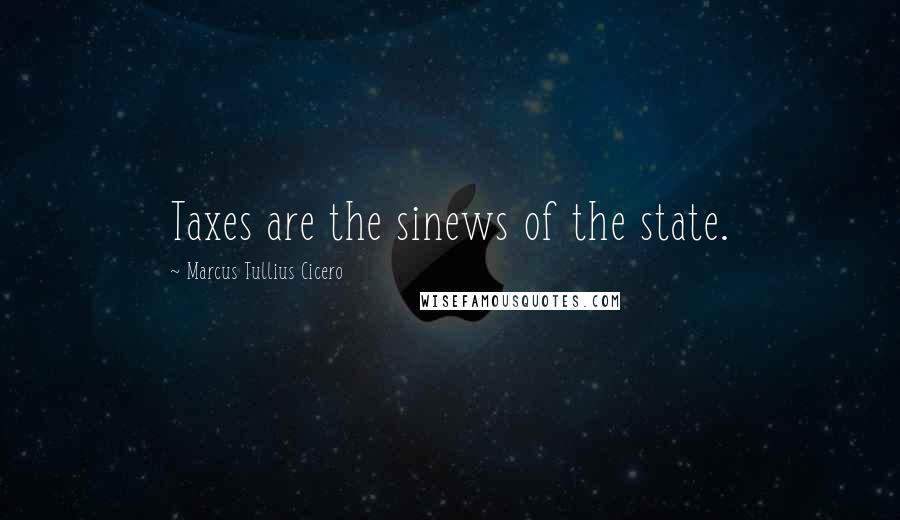 Marcus Tullius Cicero Quotes: Taxes are the sinews of the state.