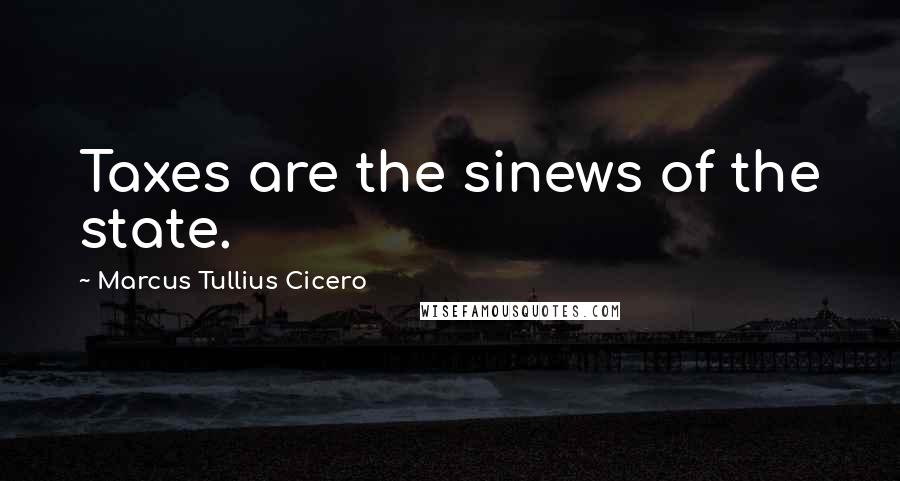 Marcus Tullius Cicero Quotes: Taxes are the sinews of the state.