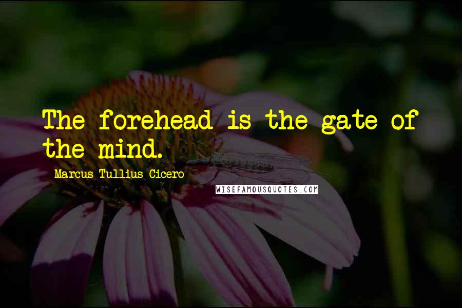 Marcus Tullius Cicero Quotes: The forehead is the gate of the mind.