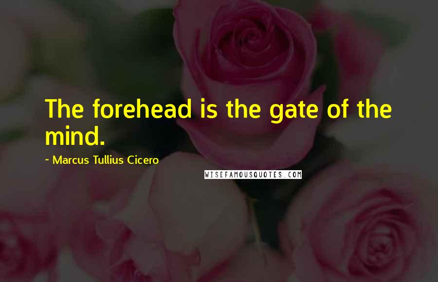 Marcus Tullius Cicero Quotes: The forehead is the gate of the mind.