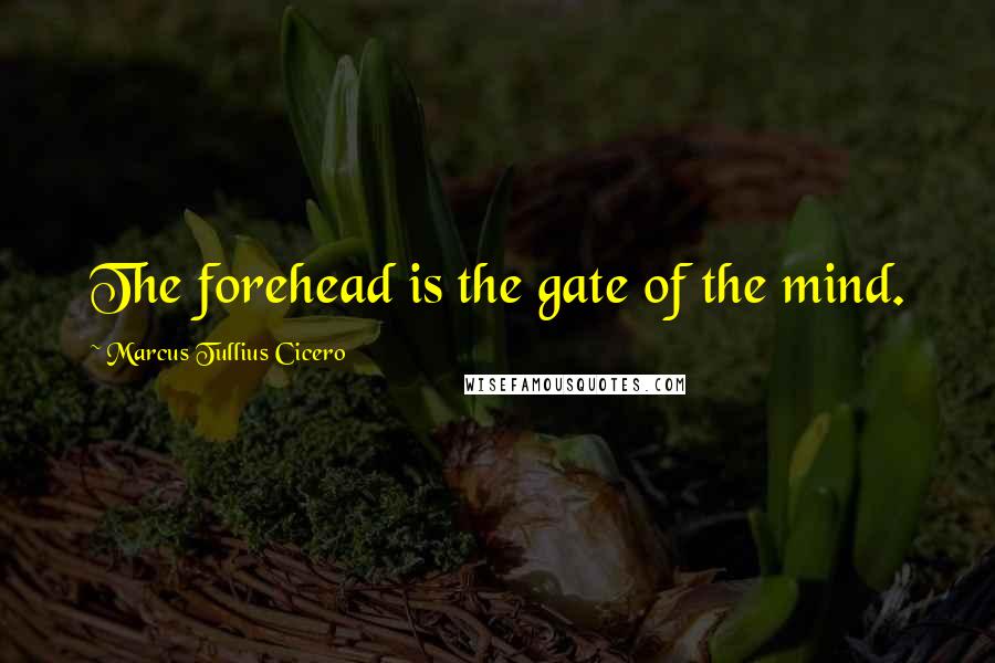 Marcus Tullius Cicero Quotes: The forehead is the gate of the mind.