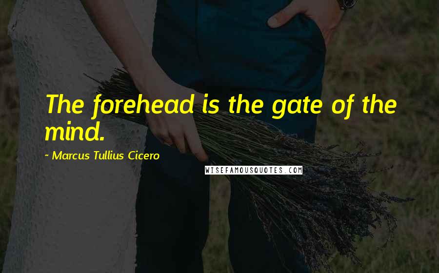 Marcus Tullius Cicero Quotes: The forehead is the gate of the mind.