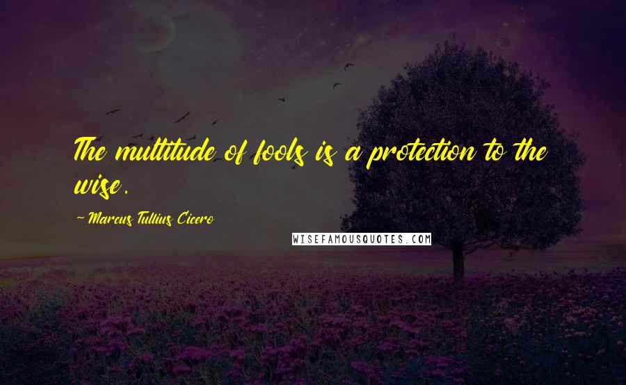 Marcus Tullius Cicero Quotes: The multitude of fools is a protection to the wise.