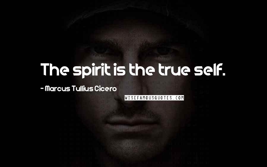 Marcus Tullius Cicero Quotes: The spirit is the true self.