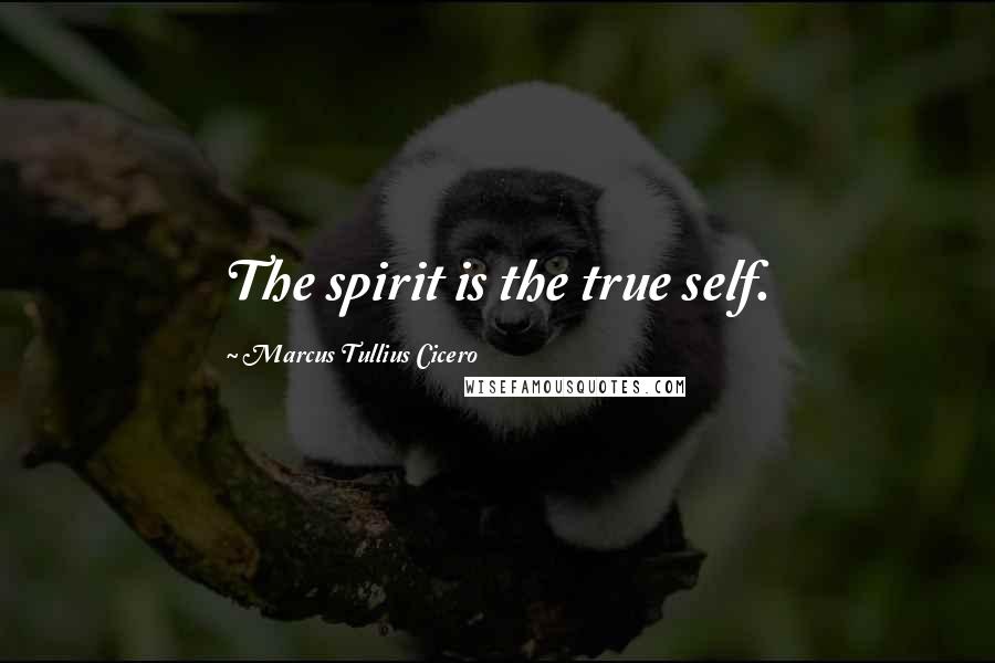 Marcus Tullius Cicero Quotes: The spirit is the true self.