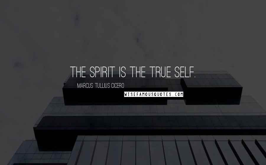 Marcus Tullius Cicero Quotes: The spirit is the true self.