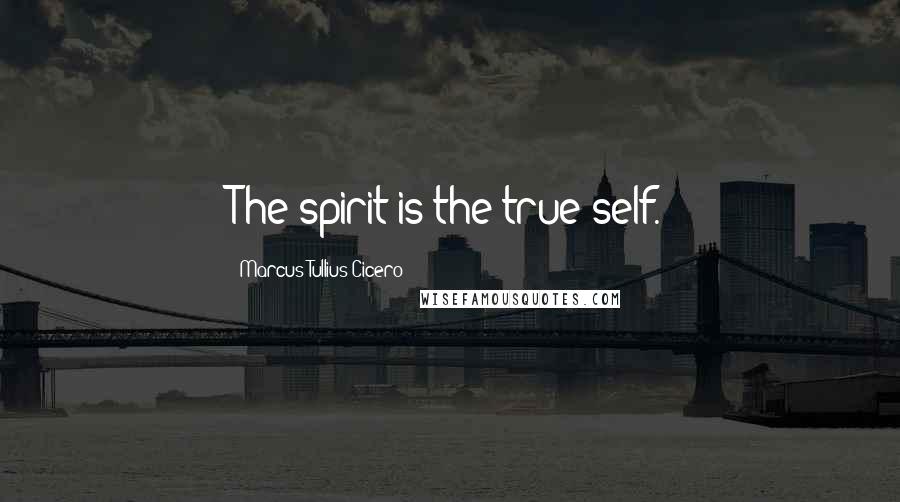 Marcus Tullius Cicero Quotes: The spirit is the true self.
