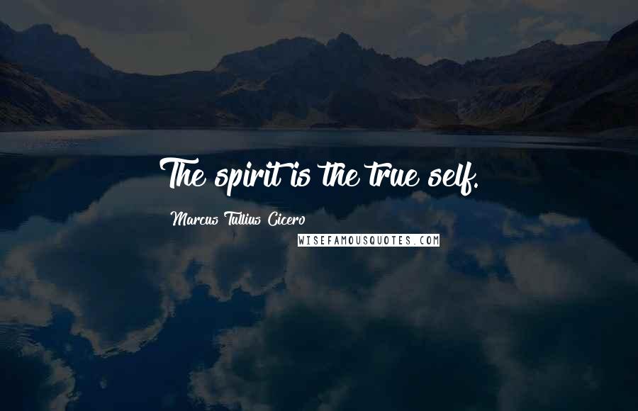 Marcus Tullius Cicero Quotes: The spirit is the true self.