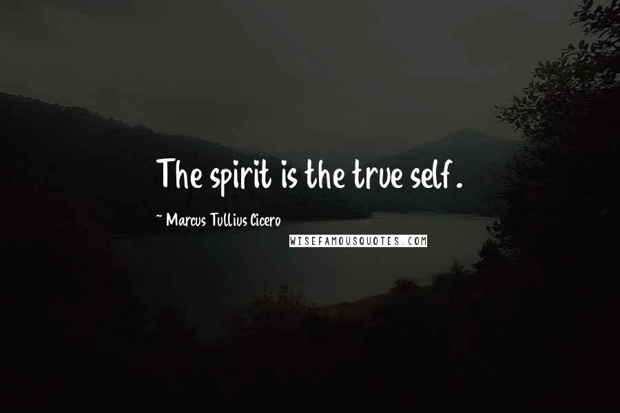 Marcus Tullius Cicero Quotes: The spirit is the true self.